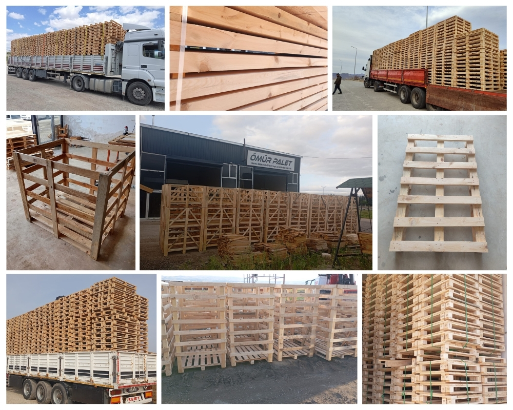 Lisserbroek Houten Kisten, Europallets Groothandel Kopen